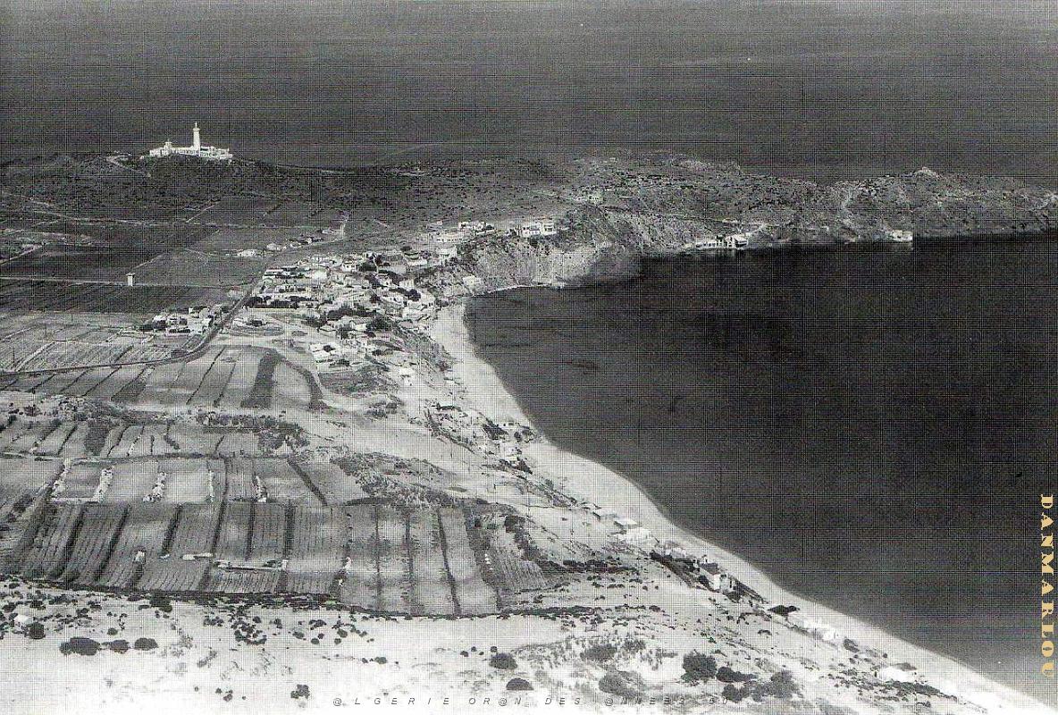 CAP FALCON PAR MONNERET   (2).JPG